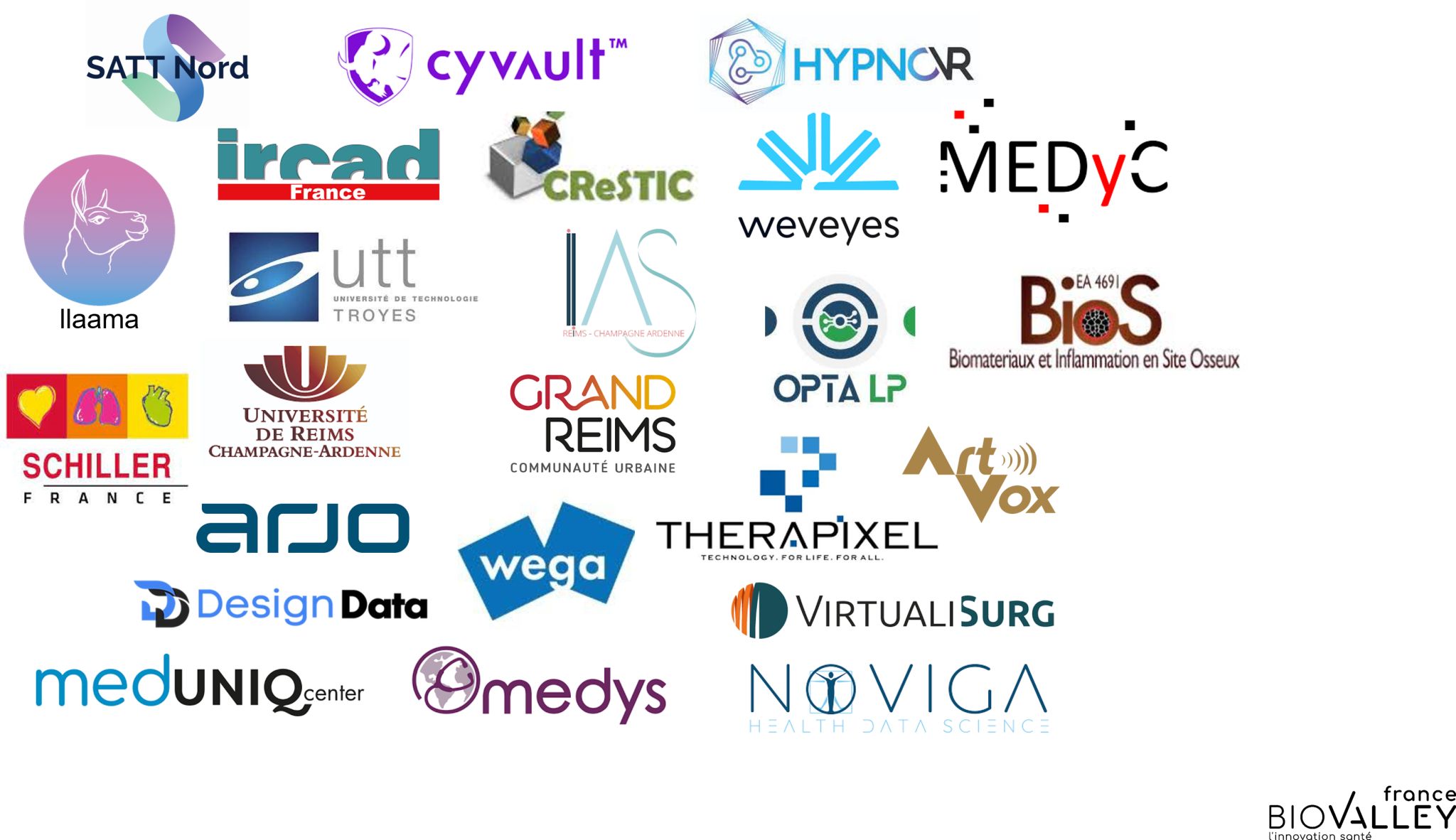 The BioValleyFrance AI in Healthcare community The BioValleyFrance AI in Healthcare community